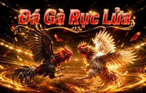 Giao diện Đá Gà eaglesnestandco